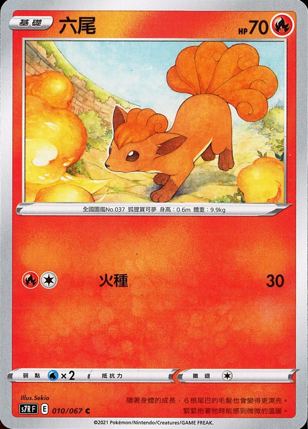 [Pokémon] s7RF 六尾-Trading Card Game-TCG-Oztet Amigo